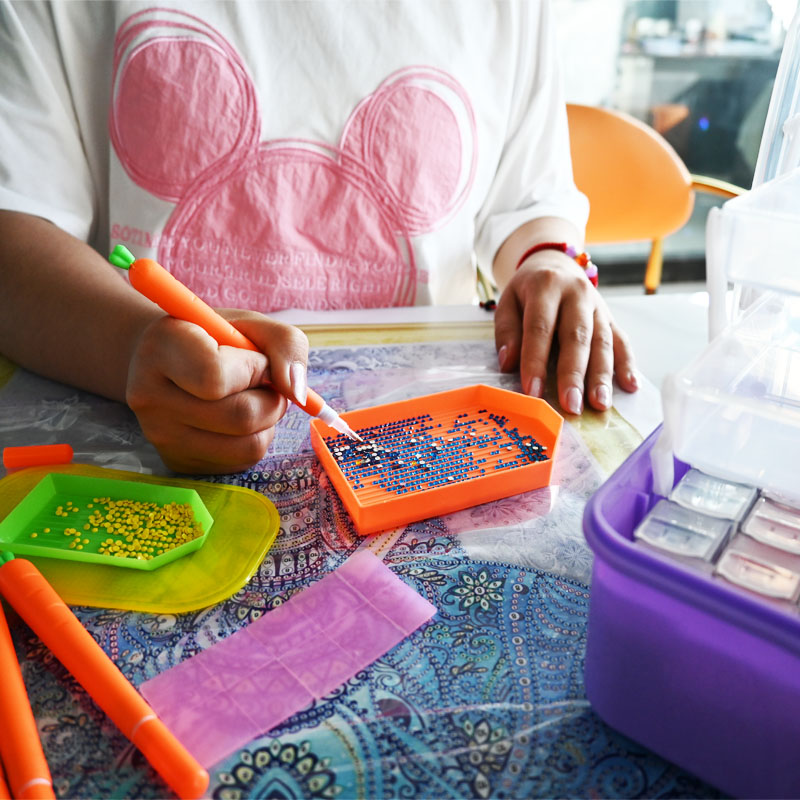 Diamond Embroidery Tools Carro - Embroidery Beads 评论和价格