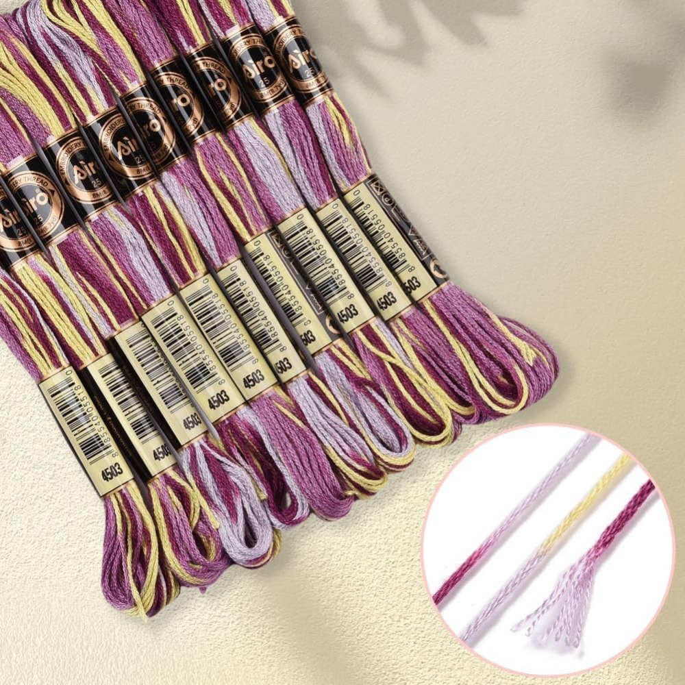 6 Strands Purple Variegated Em - Embroidery Stitch 评论和价格